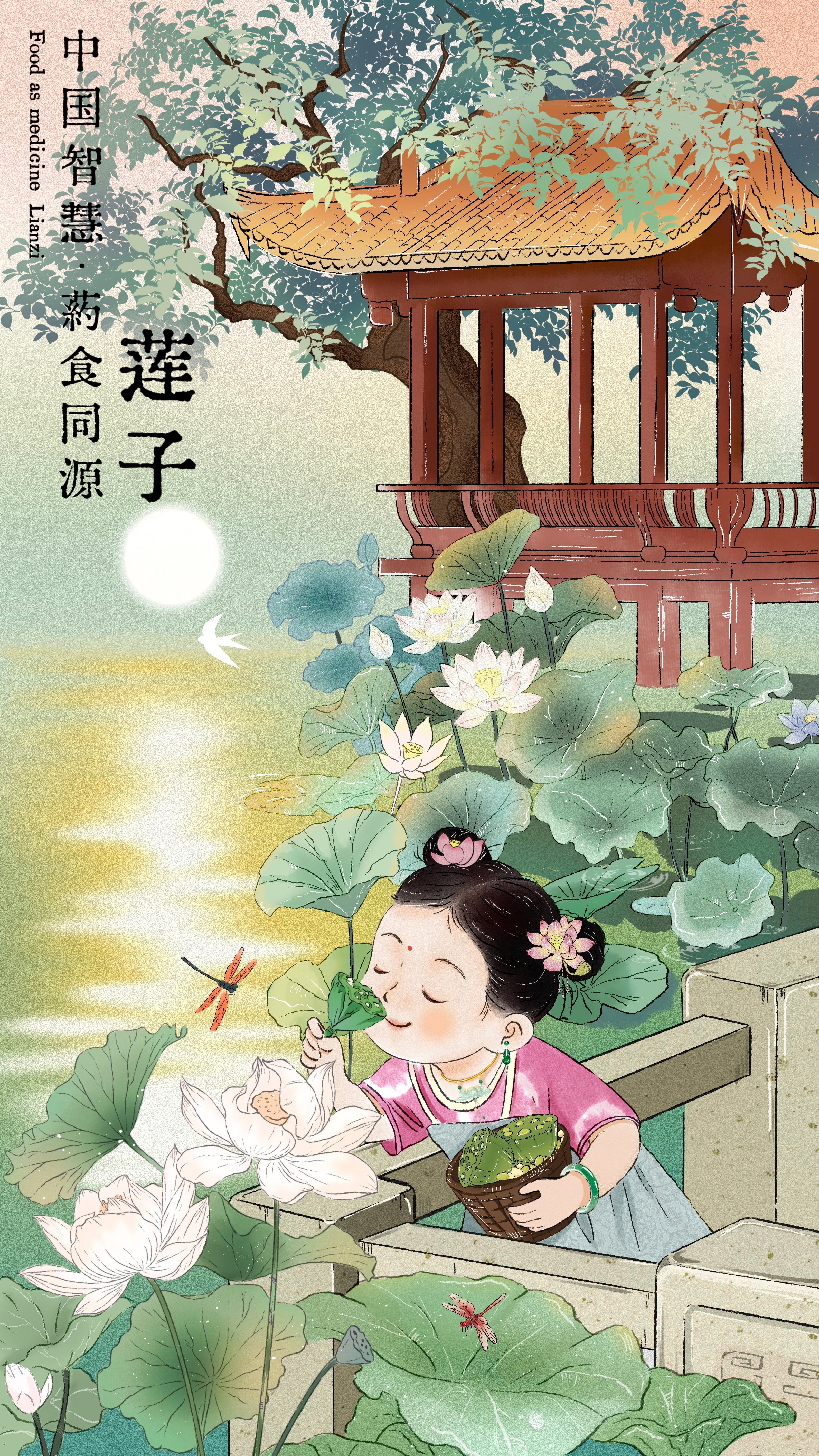 莲子